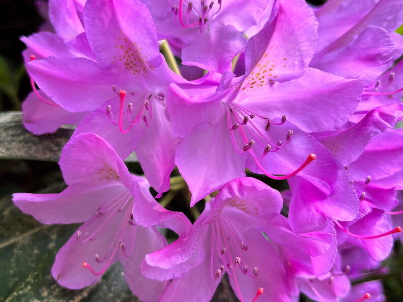 23-06-03 16-36-49 5786